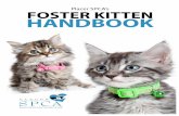 Foster Kitten Manual - Placer SPCAplacerspca.org/wp-content/uploads/2017/06/PSPCA-Foster...for kittens is from 2 to 7 weeks of age, but it can extend up to 14 weeks. During this time,