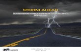 STORM AHEAD - 2degrees-investing.org · To date, no comprehensive regulatory stress-test assessing both transition and physical risks exists, as most of the existing work focuses