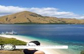 Komodo Dragon Islands and Flores, multi-activity holiday ... · If you are planning to take a holiday in Indonesia or a holiday in Bali, then Flores and the Komodo Dragon Itinerary
