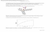 P NMR Study of the Activated Radioprotection Mechanism of ... · Supplementary Information Page 1 of 23 31P NMR Study of the Activated Radioprotection Mechanism of Octylphenyl-N,N-