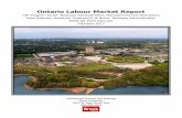 Ontario Labour Market Report - Brock Universitybrocku.ca/institutional-analysis/wp-content/uploads/sites/90/LR... · Ontario Labour Market Report CIP Program 52.02: Business Administration,
