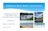 Delaware River Basin Commission - New Jersey...PMP Elements and Approaches Examples Outline PCB Chemistry Polychlorinated biphenyls (PCBs) are man‐made organic chemicals with a biphenyl