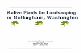 City of Bellingham Planning and Community Development 210 ......Malus Fusca Pacific Crabapple Shrub/Tree 40 ft. Matteuccia struthiopteris Ostrich Fern Ground Cover 3-5 ft. Monarda