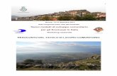 Copia di NORMA-Workshop2013-resoconto · 2018-02-19 · Workshop nazionale RESOCONTO DEL TAVOLO DI LAVORO COMUNITARIO ... ICCD), Marco Geronimi Stoll (pubblicitario disertore Rete