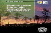 Biological Carbon Sequestration Accomplishments Report€¦ · 4 Biological Carbon Sequestration Accomplishments Report Biological carbon sequestration (BCS) is the assimilation and