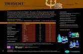 catp 9983 trident fact sheet v3 - Catalyst Paper...craft beer, juice bottles, wine bottles and large format containers. Best in class transparency of operations, powerful environmental