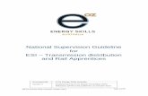 National Supervision Guideline for ESI Transmission ...e-oz.com.au/.../2016/08/...Guideline-FINAL-V1-2014.pdf · ESI - Transmission Distribution and Rail Industry apprentices typically
