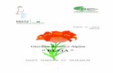 Giardino Botanico Alpino “ REZIAlombardia.stelviopark.it/wp-content/uploads/2017/02/...Botanico Alpino “REZIA” fornisce gratuitamente semi e spore ad Istituzioni, Orti Botanici,