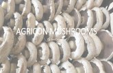 AGRICON MUSHROOMSnahop.org/images/AGRICON MUSHROOMS 2017 medium sc Presentation.pdfHow we got Started • Started doing research in 2008 • Graduated from Elsenburg Collage in 2008