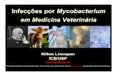 Mycobacterium Veterinária 2013 - USP€¦ · Infecções por Mycobacterium em Medicina Veterinária Nilton Lincopan ICB/USP lincopan@usp.br *All images are believed to be in the