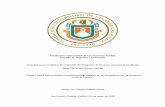 Fundación Universidad de las Americas Puebla Escuela de ...catarina.udlap.mx/u_dl_a/tales/documentos/lni/soto... · Escuela de Negocios y Economía Tesis que, para completar los