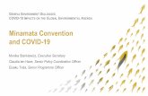 Minamata Convention and COVID-19 · 2020-05-28 · GENEVA ENVIRONMENT DIALOGUES COVID-19 IMPACTS ON THE GLOBAL ENVIRONMENTAL AGENDA Minamata Convention and COVID-19. Monika Stankiewicz,