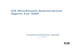 CA Workload Automation Agent for SAP Workload... · provides communication with SAP systems. Job Types Supported by CA WA Agent for SAP With the CA WA Agent for SAP, you can define