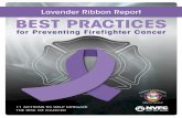 Lavender Ribbon Report BEST PRACTICES · Big Sky Fire Department, MT Best Practice 3 & 5 sbarker@bigskyfire.org Fire Chief Juan Bonilla NVFC Donnelly Rural Fire Protection District,
