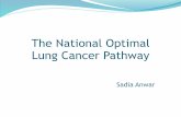 The National Optimal Lung Cancer Pathway · Performance status at presentation. wide variation in access to diagnostics and treatment variation in pathways, treatment rates, outcomes