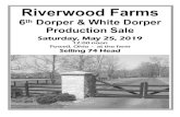 Riverwood Farms · 2019-05-01 · Riverwood Farms 6th Dorper Production Sale Saturday, May 25, 2019 12:00 noon LOCATION: Riverwood Farms, 1000 Powell Rd., Powell, OH. The farm is