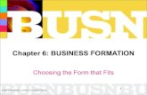 Chapter 6: BUSINESS FORMATION€¦ · FRANCHISING: PROVEN METHODS FOR A PRICE • Not a form of ownership but an operation option. – Subway – Jiffy Lube – 7-Eleven – McDonalds
