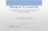Napa County...Napa County Juvenile Justice Crime Prevention Act & Youthful Offender Block Grant (JJCPA-YOBG) Consolidated Annual Plan 2020 Contact: Kristin Week Chief Deputy Probation