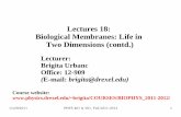 Lectures 18: Biological Membranes: Life in Two Dimensions ...brigita/COURSES/BIOPHYS_2011-2012/LEC… · In vivo membranes include: endoplasmic reticulum trans-Golgi network tubular