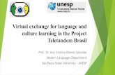Virtual exchange for language and culture learning in the Project … exchange... · 2019-04-30 · Virtual exchange for language and culture learning in the Project Teletandem Brasil