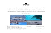 The Welfare of Bottlenose Dolphins and Killer …stud.epsilon.slu.se/1578/1/lundin_l_100707.pdf2 The Welfare of Bottlenose Dolphins and Killer Whales in Captivity Välfärden hos flasknosdelfin