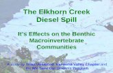 The Elkhorn Creek Diesel Spill - dep.wv.govdep.wv.gov/WWE/getinvolved/sos/Documents/Reports/... · Around 1970 rainbow trout fingerlings were accidentally ... The springs flow out