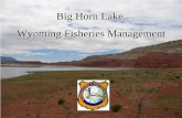 Big Horn Lake Wyoming Fisheries Management€¦ · – – Prefers large lakes and reservoirs with abundant plankton production – ... rainbow trout, mackinaw, and walleye pike planting