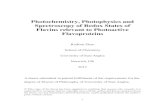 Photochemistry, Photophysics and Spectroscopy of Redox ... Photochemistry, Photophysics and Spectroscopy
