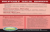 REPORT SICK BIRDS - Home - Florida Department of ...€¦ · • The Florida Department of Agriculture and Consumer Services and the Florida Fish and Wildlife Conservation Commission