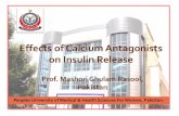 Effects of Calcium Antagonists on Insulin Release...Effects of Calcium Antagonists on Insulin Release Prof. Mashori Ghulam Rasool, Pakistan Peoples University of Medical & Health Sciences