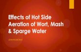 Effects of Hot Side Aeration - Homebrewers Association€¦ · Hot Side Aeration HSA - Hot Side Aeration A generally accepted definition The introduction of O2 into hot wort. The