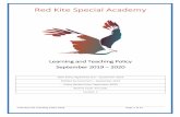 Red Kite Special Academy...11.00 – 11.55 Session 2 12.00 – 1.00 Lunch and break. Pupils come off playground at 1.00 and have 10 mins in class undertaking quiet focussed activities