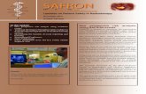 SAFRON - International Atomic Energy Agency · 2018-01-19 · Follow us on social media: Assessing and selecting what Frequency reducers, Safety barriers and Consequence reducers