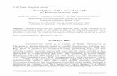 Description of the sexual morph of Seimatosporium vitissciencepress.mnhn.fr/.../crypto-myco2017-v38f1a1.pdf · 4 M. Mehrabi et al. There are very few publications on pestalotioid