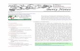 80 Since 1932 Berry Plants - UMass Amherst€¦ · Since 1932 Berry Plants The Best 41 River Road, South Deer!eld, Massachusetts 01373 413.665.2658 80 YEARS • Strawberries, raspberries,
