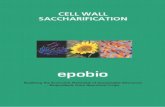 CELL WALL SACCHARIFICATION - Bio-based Newsnews.bio-based.eu/media/news-images/20061215-04/0611CellWallS… · CPL Press, Tall Gables, The Sydings, Speen, Newbury, Berks RG14 1RZ,