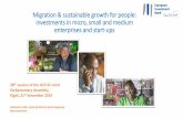 Migration & sustainable growth for people: investments in ... · •The foundations for sustainable development •Public and Private Partnerships 5 European Economic Diplomacy ...