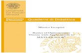 Matteo Iacopini Basics of Optimization Theory with ...Basics of Optimization Theory with Applications in MATLAB and R∗ Matteo Iacopini† Spring, 2016 Abstract This document is the