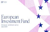 European Investment Fund · Investment Fund. Investors’ sentiment survey. June 2020. 2. Participation. Investors’ sentiment survey –June 2020. ... Investors are more likely