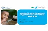 Integrated Drought Management Programme in the Horn of ... · IDMP HOA Experience and Synergies Current Synergies: ... Support to national and sub-national adaptation planning processes-