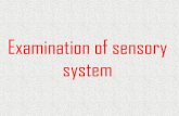 Examination of sensory system - University of Babylonrepository.uobabylon.edu.iq/2010_2011/4_22136_756.pdf · Examination of sensory system •Nervous system Composed of :-1- central