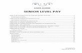 Senior Level Pay User Guide - Office of Human Resources · HR SAID/WiTS Updated 09.26.2016 2 . When to Use the Senior Level Pay Form and Creating the Action . The Senior Level Pay