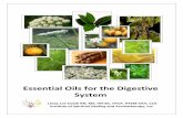 Essential Oils for the Digestive System.2013docand ileum. The duodenum is largely responsible for continuing the process of breaking down food while the jejunum and ileum are primarily