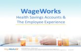 Health Savings Accounts & The Employee Experience...Enrollment for both HC FSA and HSA are allowed, but the FSA must be Limited (or “HSA-Compatible”) Limited Purpose HC FSA covers