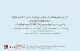 Electrokinetic effects in the breakup of electrified jets ...gfs.sourceforge.net/papers/GUM2014/lopez.pdf · Introduction. Electric fields . Fluid motion . The fluid motion modifies