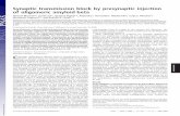 Synaptic transmission block by presynaptic injection of ... · Synaptic transmission block by presynaptic injection of oligomeric amyloid beta Herman Morenoa,b, Eunah Yub,c, Gustavo