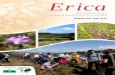 Numéro 34 • mai 2020 · Revue des botanistes du Massif armoricain et de ses marges. Numéro 34 • mai 2020. E. rica