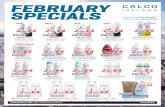 FEBRUARY SPECIALScalcoireland.ie/wp-content/uploads/2020/01/1_Feb_A4_6pg_sm_.pdf · GILL030 Fusion Blades €9.87 / €14.99 (10) buy 5 get 1 FREE RRP €12.50 our price only €8.99