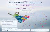 Nanomedicine • Nanotechnology • Nanoscience DIJON …...Nanomedicine • Nanotechnology • Nanoscience DIJONDecember, 10, 11 and 12 Palais des congrès 3 Boulevard de Champagne