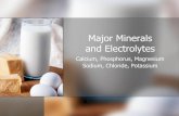 PowerPoint - Major Minerals and Electrolytesaxtellisd.net/view/628.pdf · PowerPoint - Major Minerals and Electrolytes Author: Statewide Instructional Resources Development Center